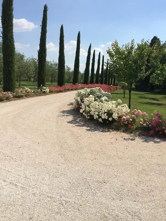 Podere Bellagatta Holiday home Buonconvento 0*,