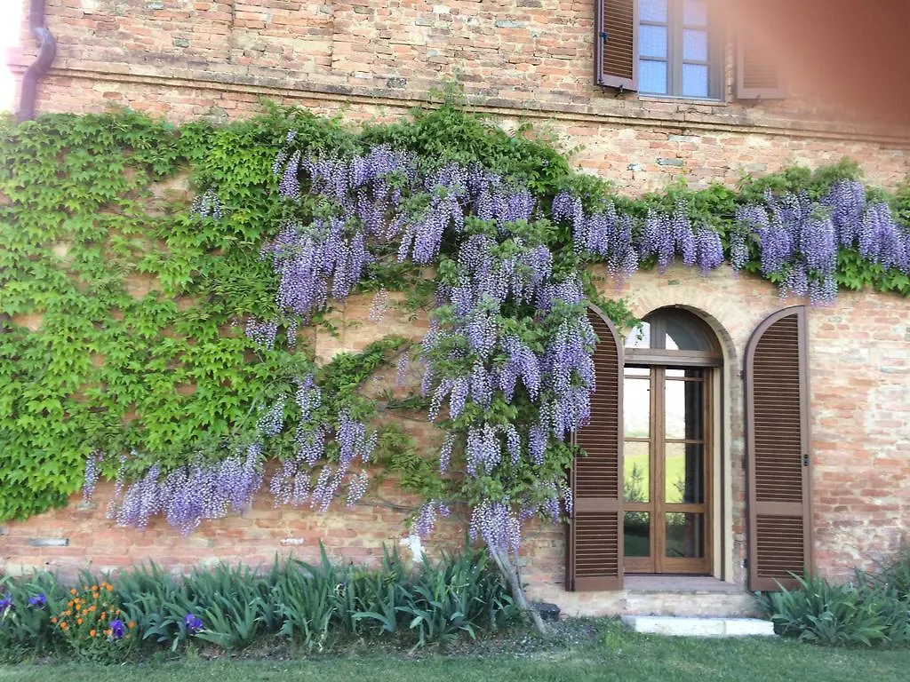 Podere Bellagatta Holiday home Buonconvento